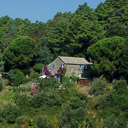 Maison De Charme Giulietta Bonassola Rum bild