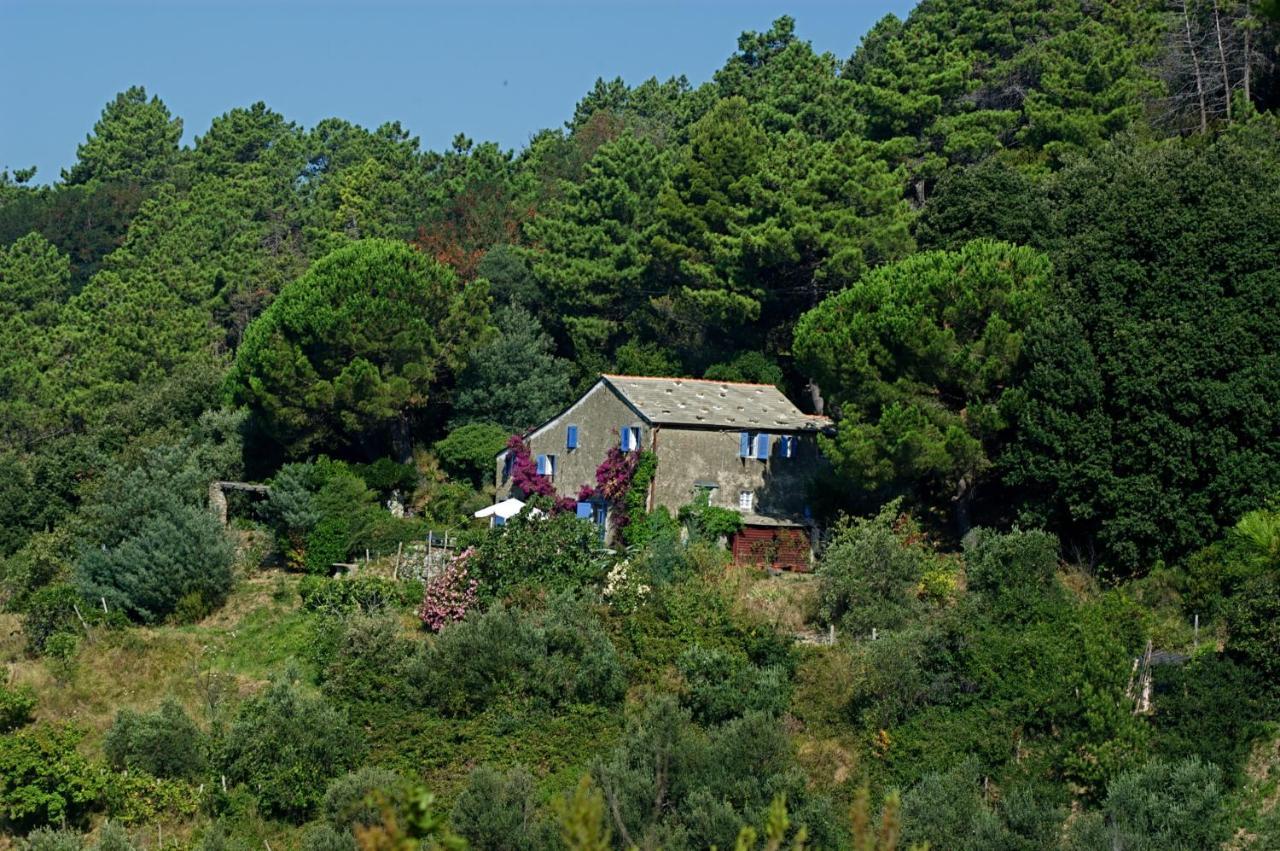 Maison De Charme Giulietta Bonassola Rum bild